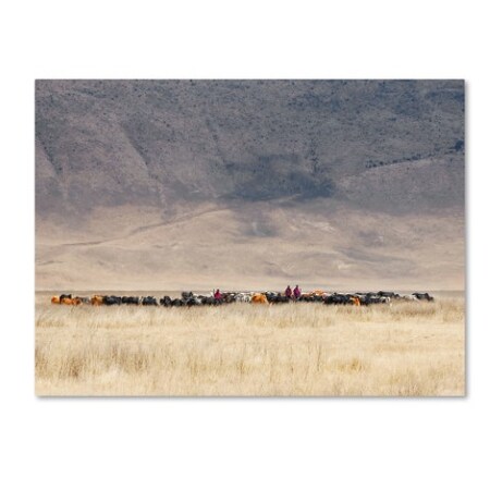 Trademark Fine Art Mathilde Guillemot 'Incredible Maasai' Canvas Art, 24x32 1X02101-C2432GG